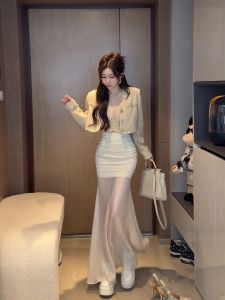 ชุดเดรสยาวปานกลางผ้าตาข่ายแขนกุดทรงเอคอวีสำหรับงานปาร์ตี้ในฤดูร้อน 2024 สำหรับผู้หญิง ชุดทำงานสั้น