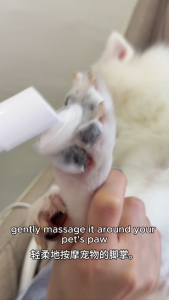 (For Furry Friends) P.A.W.S Waterless Foam Cleanser [For Dogs Only] – Lavender Scent No Rinse Natural & Gentle 200ml