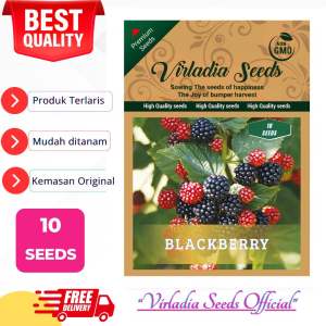 [Virladia Seeds] Biji Benih tanaman BlackBerry
