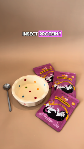 Tera Diet Super Premium Chicken & Insect Licky Pouch Cat Food 80g