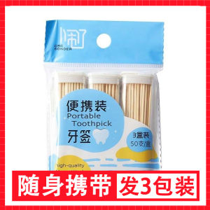 Portable Mini Disposable Toothpicks Travel Outdoors Home Use Creative Toothpick Tube Travel Toothpicks Convenient Carry-On