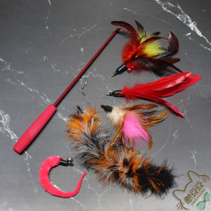 Dây Câu Cá Có Thể Mở Rộng Hando Bean Cat Toy Có Nhiều Đầu Lông Vũ Thay Thế Để Chơi Đùa Với Mèo Và Chim Cỡ Lớn