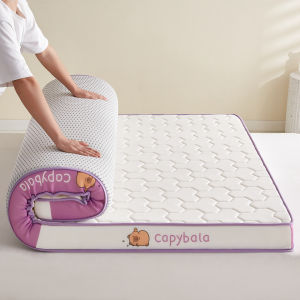 JoynCleon | Spinal Support Memory Foam Mattress Extra Thick Bed