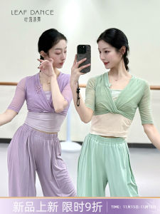 Áo Cổ Bướm Cổ Điển Cổ Điển Áo Tập Luyện Thể Thao Cổ Tay Dài Bằng Vải Polyester Cho Nữ Mùa Xuân 2025