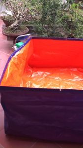 BỂ BẠT NUÔI ỐC ẾCHCÁ LƯƠN MỚI NỞ- BỂ BẠT TẮM ĐỦ  Sai