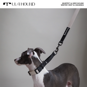 Ulahound Multi-Functional Hands-Free Leash Set Explosive Proof Polyester Extendable Dog Leash for Cat And Dog Travel Accessories