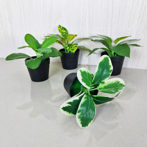 Unico PBP56 Tanaman Hias Pot Bunga Bahan Plastik Dekorasi Pajangan Ruangan Rumah Ornamen Artificial Imitasi Model Daun COD