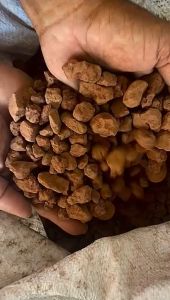 Batu Gunung Berapi Pasir | Malang Volcano Stone | | 红火山石 | (Red/Black) (1-3cm3-5m5-8m10-20m) (25 kg)