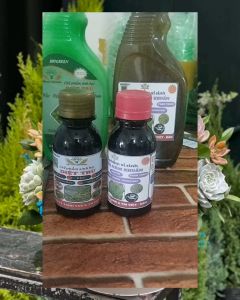 Bộ đôi đa năng diệt và phòng mọi loại sâu nấm  khuẩn rầy rệp nhện đỏ côn trùng  phá hoại cây trồng như rau hoa hồng lan mai vàng cây ăn quả cây trong nhà