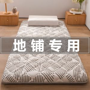 Foldable Mattress Soft Cushion Household Floor Mat Mattress Japanese Style Tatami Mat Student Dormitory Rental Special Cushion