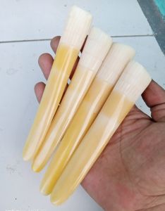 Pipa cangklong model taring bahan super