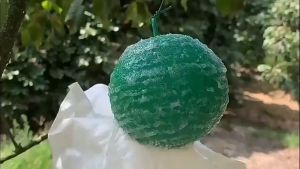 Insect Control Ball Vegetable Garden Orchard Fly Trap Sticky Insect Ball Horticultural Tool Lalat Putih