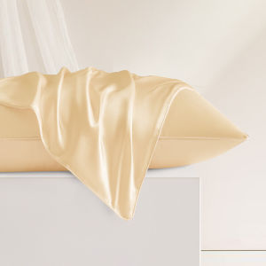 Cool Summer 100% Mulberry Silk Pillowcase 19 Momme