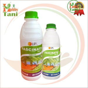 FASCINATE 158 SL 1 Liter HERBISIDA RUMPUT MEMBANDEL DAUN LEBAR DAN SEMPIT