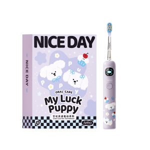 ApiYoo | Smart Voice Guided Soft Bristle Electric Toothbrush