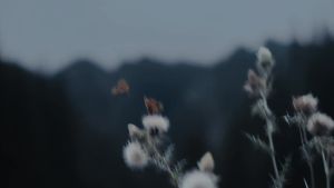 HUAWEI WATCH GT 6 Series Smartwatch l Advanced Outdoor Sports* l Superior Running & Cycling Experience l ECG Analysis* l Up to 21-Day Battery Life*