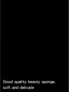 Waterdrop Makeup Blender Sponge: A Comprehensive Guide