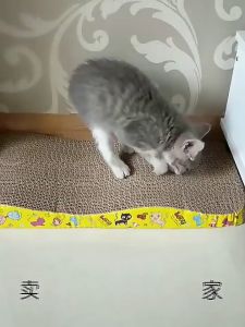 PET DIARY Papan Garukan Kucing Murah Mainan Penggaruk Kucing Ekstra Tebal Garukan Hewan Peliharaan