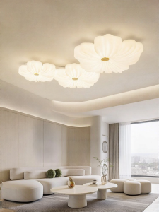 FANCY LAMP CLUB | Modern Simple Creative Designers Popularity Ceiling Light
