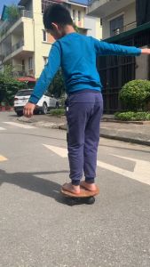 Kệ giá đỡ chậu hoa cây cảnh đa năng đường Kính 30cm chịu lực 80kg - Đế để chậu cây có 4 bánh xe