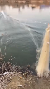 Fishing Net 1/3 Layers Reinforced Quick Sinking lambat fishing net 100 meters net for fishing