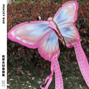 Butterfly Wedding Character Kite Couple Marriage Certificate Application Photography Props Wedding Room Decoration