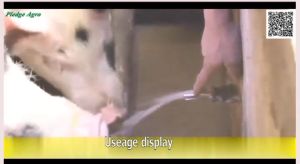5/25Pcs Automatic Pig Drinker 1/2PT Thread Stainless Steel Piglet Nipple Water Drinker Pig Drinking Equipment