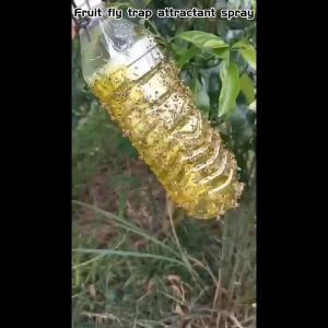 【Local Warehouse】Fruit Fly Attractant260ML/450mlNot afraid of sun and rain.Fruit fly trap attractant sprayAttractant for fruit flyWasp TrapInsect trap sprayPest Insect Control for Home Farm OrchardYellow Drosophila TrapFly Catcher.