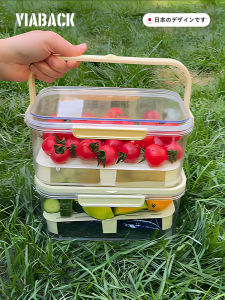 Portable Mobile Fridge Freshness Locking Fruit Preservation Box Carry-On Cold Storage Container for On-The-Go
