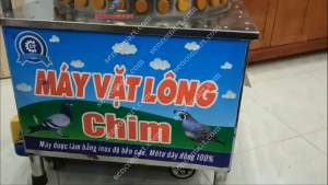Máy vặt lông chim chútchim cu phi 50 gắn mô tơ 11kw lõi đồng 100%