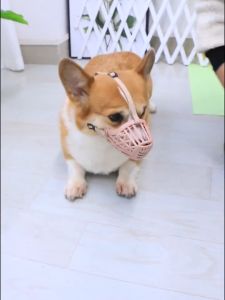 Rọ mõm Chó bằng lưới nhựa thoáng mát có dây quàng đầu (Đo kích thước Cún trước khi chọn size) mẫu mới - Love Pets Shop