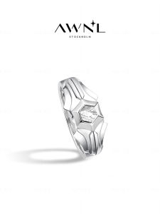 Luxury Small Niche Meteorite Ring