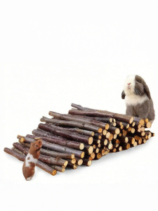 PET AND YOU | Pet Rodent Chewing Sticks