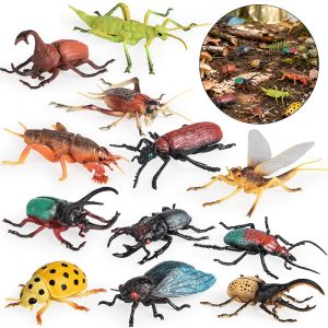 UCOK | Đồ Chơi Côn Trùng Kích Thước Lớn Đáng Tin
