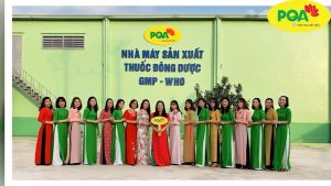 PQA Phế quản hộp 10 ống Người bị ho khan ho có đờm ho do thay đổi thời tiết viêm họng viêm phế quản