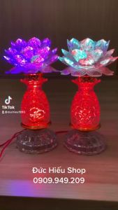 Bộ Đèn Hoa Sen Trái Thơm Cao Cấp ĐỨC HIẾU Đổi Nhiều Màu Trang Trí Bàn Thờ - Loại Cao LT