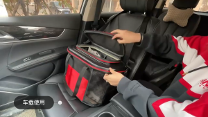 Pet Carrier Bag with Mesh Sides and Blue Panel for Ventilation and Visibility