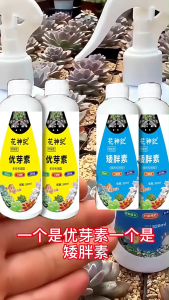 【Super Discount】Eugenol household flower fertilizer special for succulents 优芽素