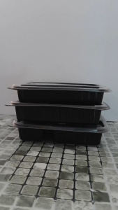 Tage Food Container Compartment with Lid/ 2/3/4 Compartment/Bento lunch Box/Bekas Bungkus Makanan