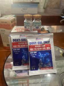 Combo 2 lọ Lingen 5ml và 2 gói doxysultrep dùng cho chó mèo.