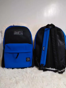 large size backpack 17x12 inches with laptop compartment