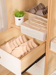 (Giặt được) Hộp đựng đồ lót tất vớ chia ô thang khung tấm PP đứng form gấp gọn tiện lợi TD52