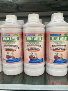 Dịch trùn quế cao tỏi đen MILO AMIN (1 lít) nâng cân nhanh nâng đề kháng bổ sung vitamin tổng hợp cho vật nuôi