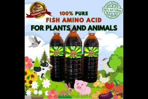 FISH AMINO ACID 500ML PURE & UNDILUTED ORGANIC FOLIAR