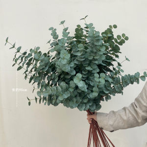 Artificial Eucalyptus Leaf Fake Flower Dried Flower Home Decoration Living Room Tabletop Floral Arrangement Photography Prop