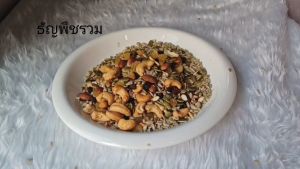 ธัญพืชรวม พร้อมทาน เคี้ยวมัน เคี้ยวเพลิน อบใหม่ทุกวัน ไม่เหม็นหืน วัตถุดิบเกรดพรีเมี่ยม ธัญพืชเพื่อสุขภาพ