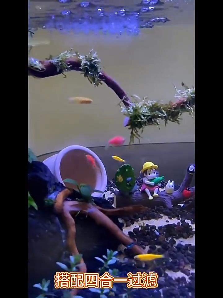 360 Aquarium with LED Lighting and Power Filter Desk Aquarium Set Ideal for a Variety of Tropical