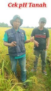 Pengiriman Cepat Yieryi Pengukur Temperatur & Kelembapan Tanah Soil PH TPH01803 / alat ukur ph tanah yg akurat digital pertanian otomatis terbaik kelembaban / ph meter tanah paling akurat