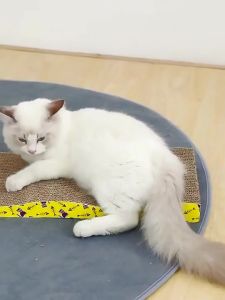 Pet Cat Scratcher Cat kitten Scratching Cardboard Corrugated Scratch Cardboard Toy Scratch Pad Pet toys