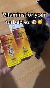 Papi Vetmate Nacalvit C Vitamins 120mL Ascorbic Acid for Pet Cats Dogs Kittens Puppies Pets
